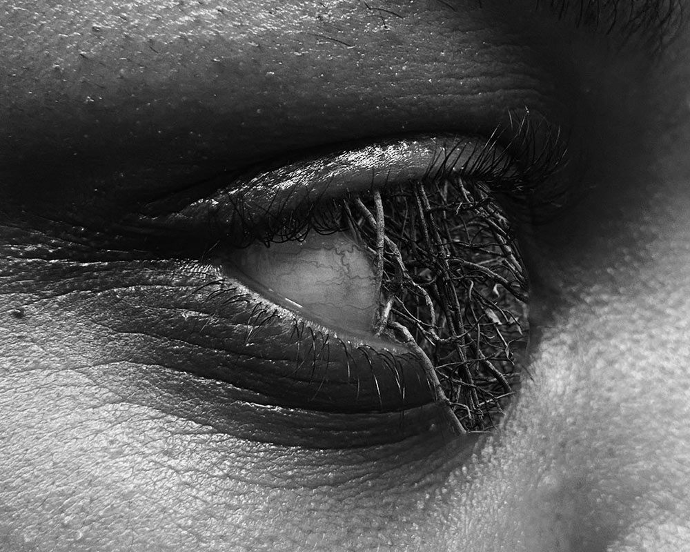 black and white photo by MSU photo student Kaneesha Handy of person's eye looking to the right with roots growing out