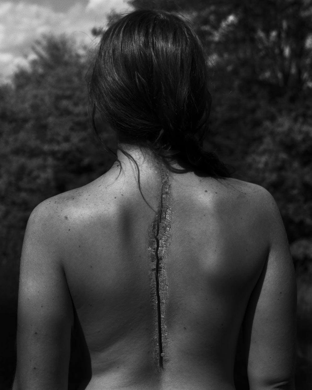 black and white photo by MSU photo student Kaneesha Handy of back with cracked tree down the middle 