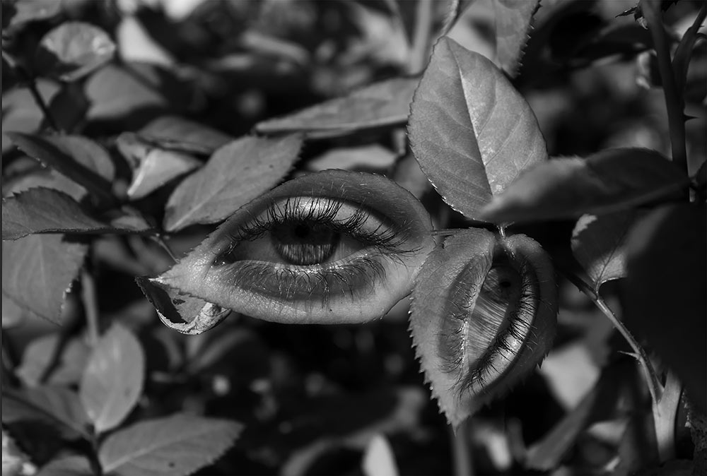 black and white photo by MSU photo student Kaneesha Handy of leaves with eye in center