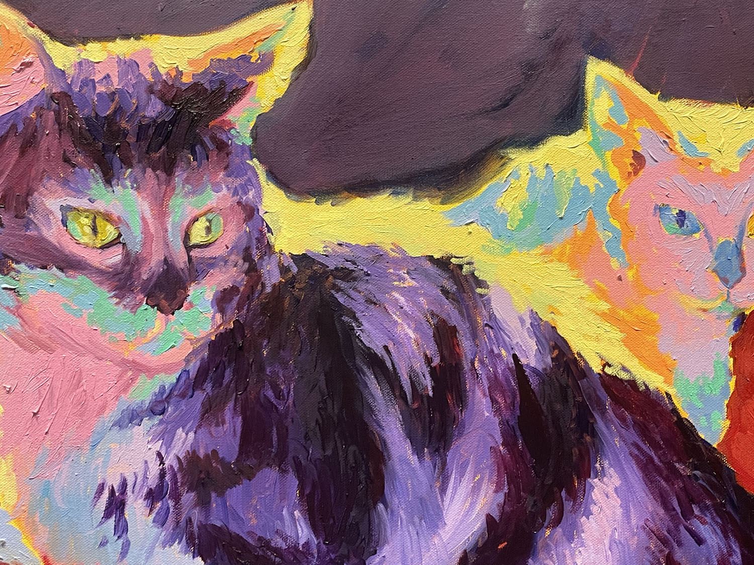 close up of two cats in saturated colors