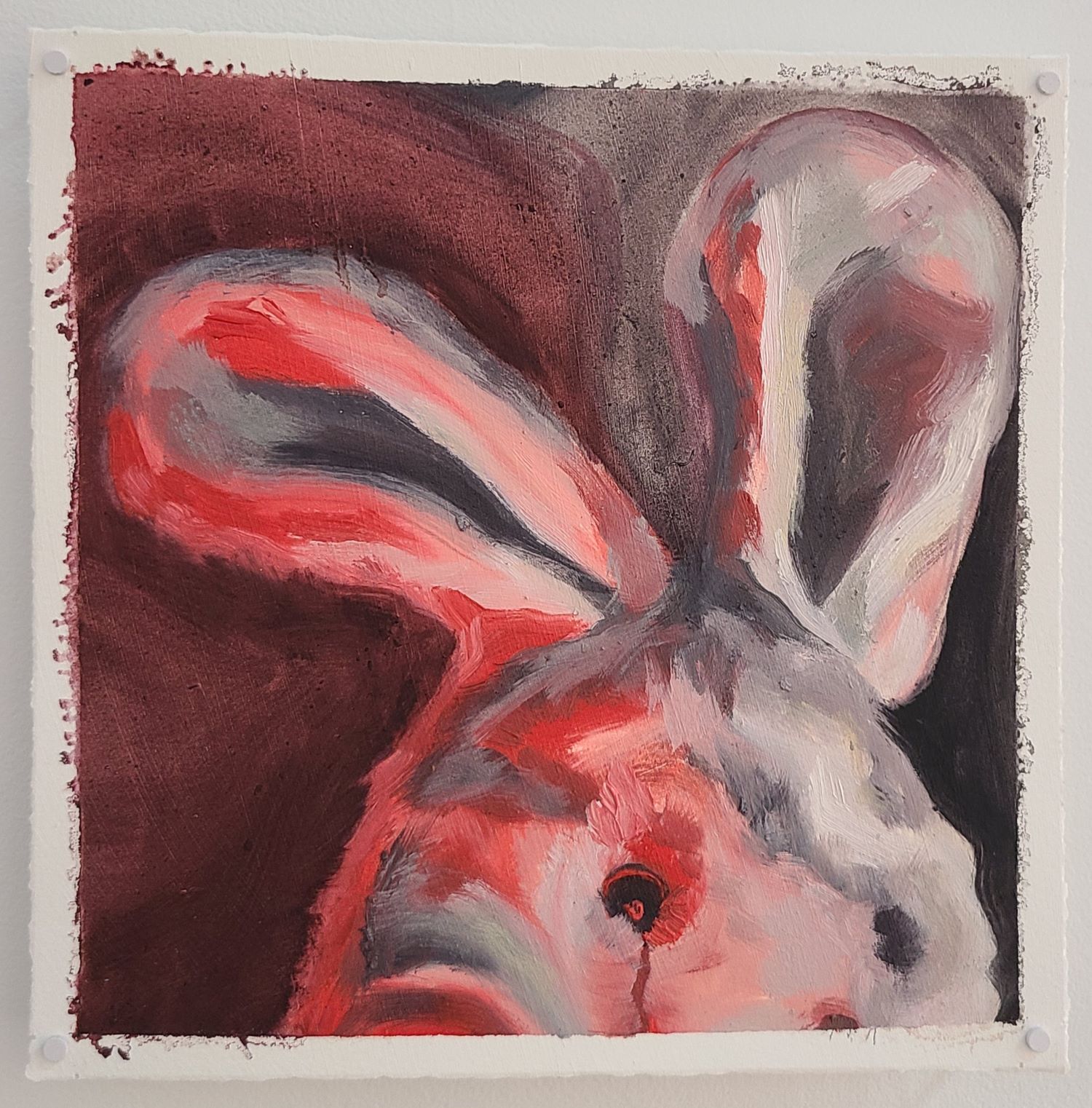 painting of the head of the stuff rabbit animal